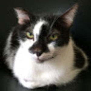 Meet your Posher, Katy